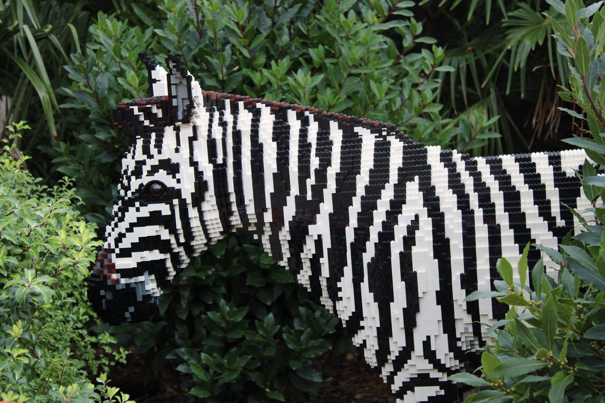 45866469 2331797420167084 7047782367682887680 N