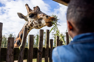 TWYCROSS FAMILY 6