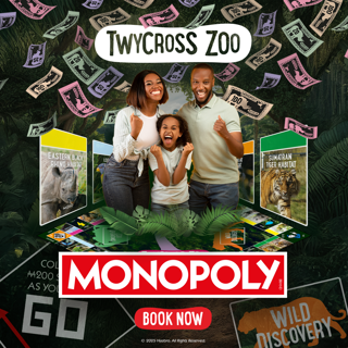 Monopoly Hero Visual (+CTA)(1080X1080px)