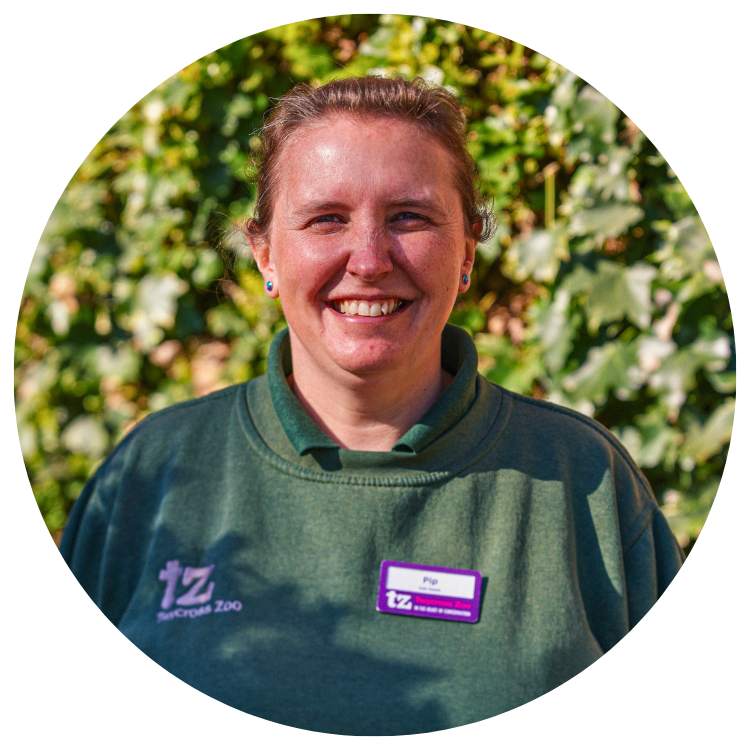 Team 4 Phillipa Dobbs