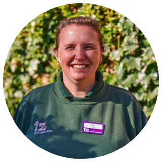 Team 4 Phillipa Dobbs