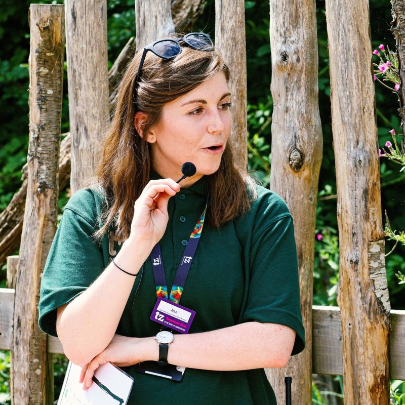 362277039 664600909026309 8369226469419348221 N