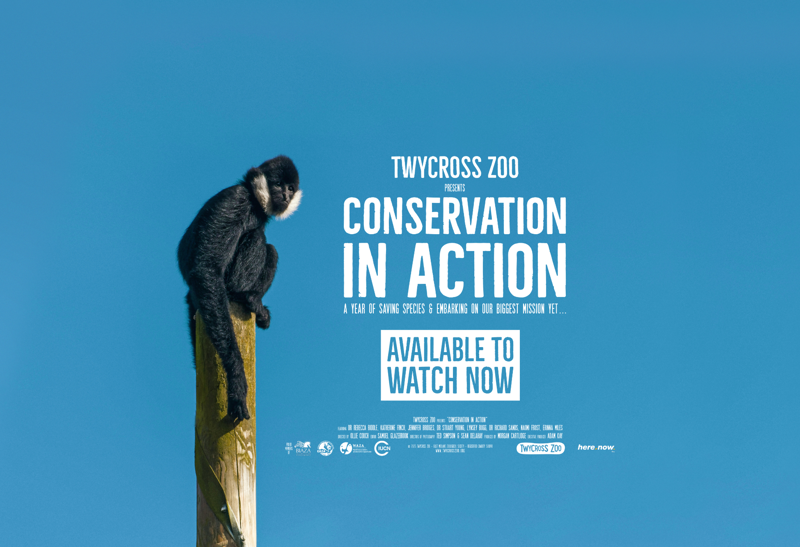 Twycross Winter Sales Banner (1950 X 1334 Px) (9)