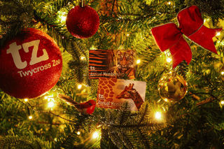 Annual Membership Christmas Campaign 2023