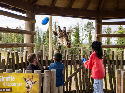 TWYCROSS FAMILY 8
