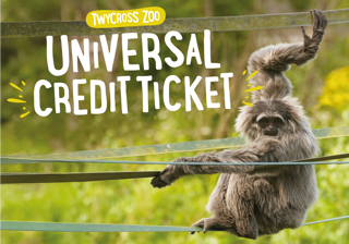 TZ Ticketing Gibbon(1000X700)(Rectangle)