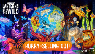 20% Off (12)