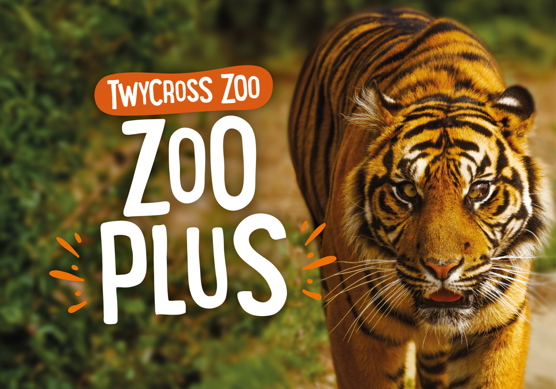 Zoo Plus