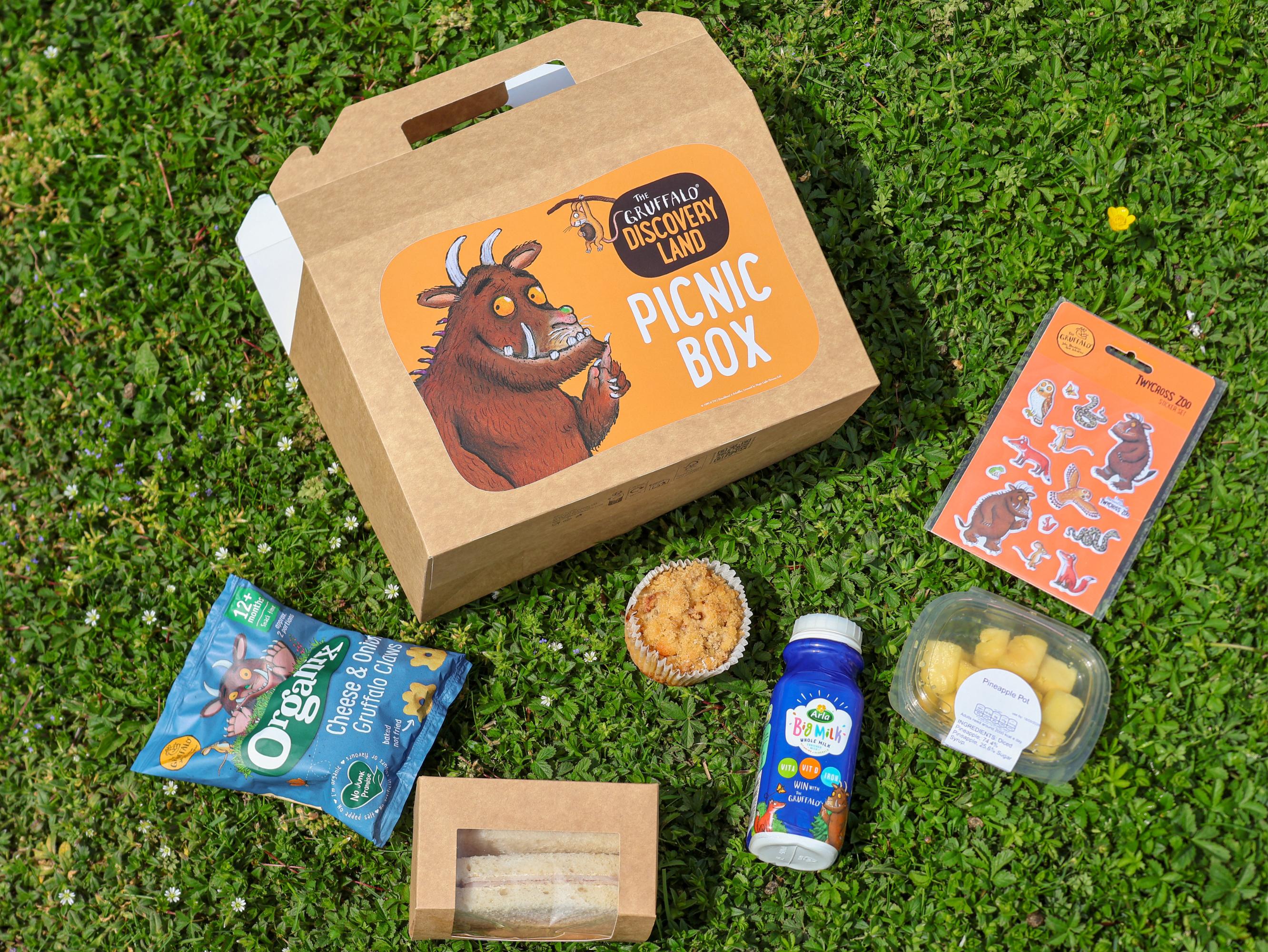 Gruffalo Picnic (1)