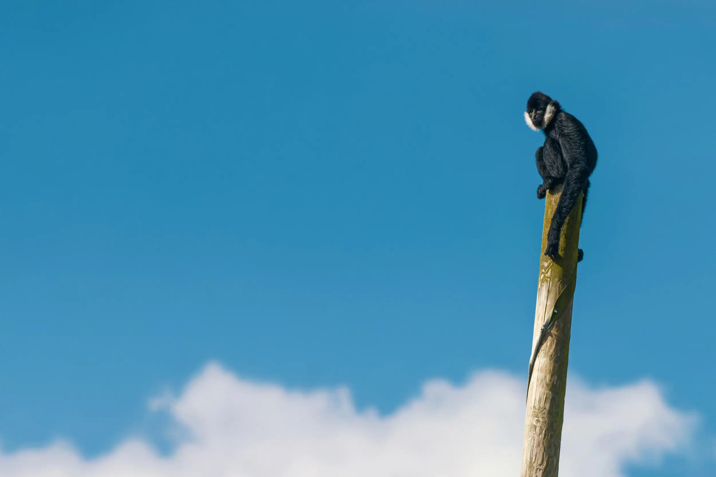 Your Support Matters Extended