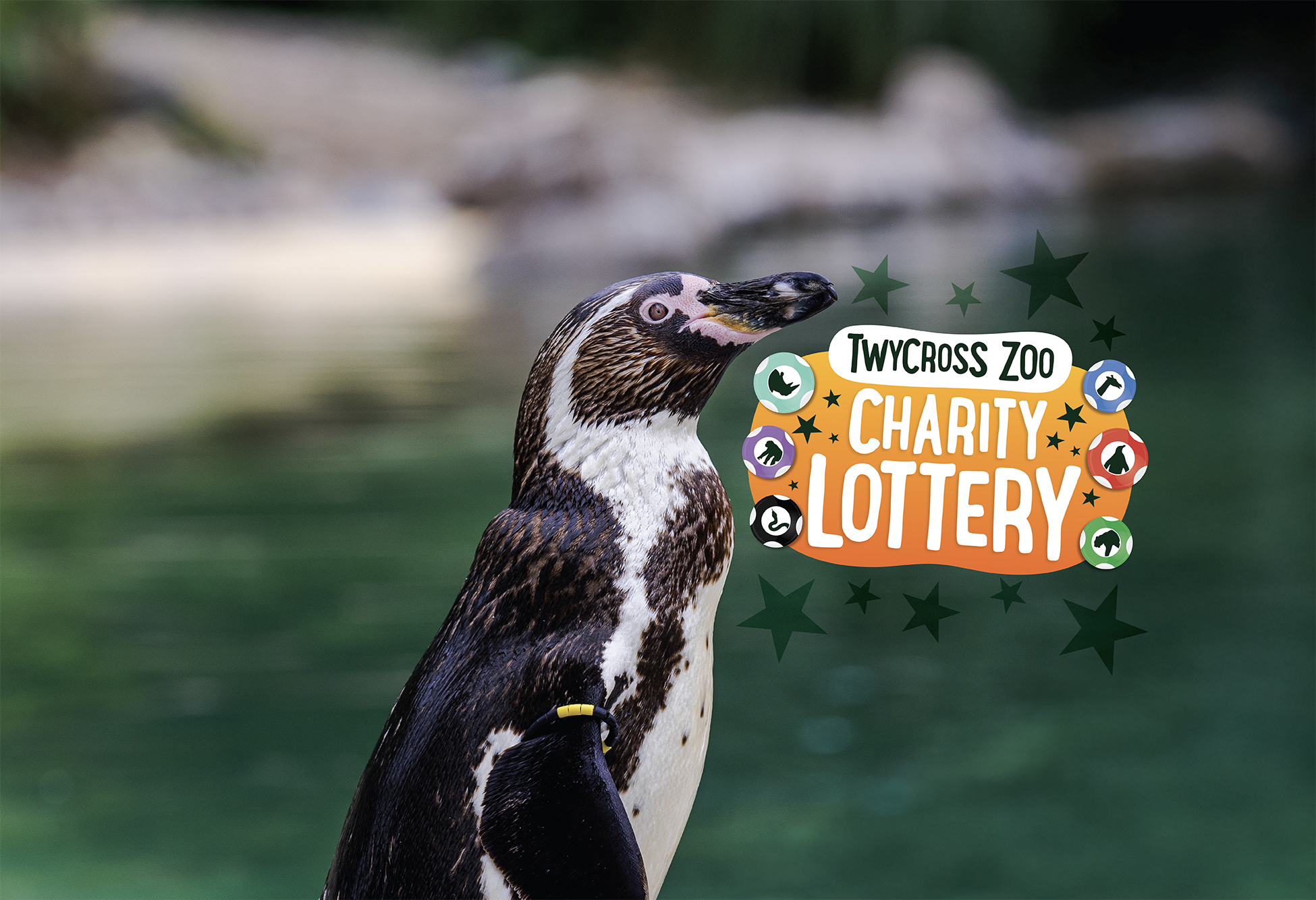 TZ Charity Lottery (Web Banner) (Desktop 1950X1334)