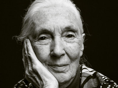 Jane Goodall