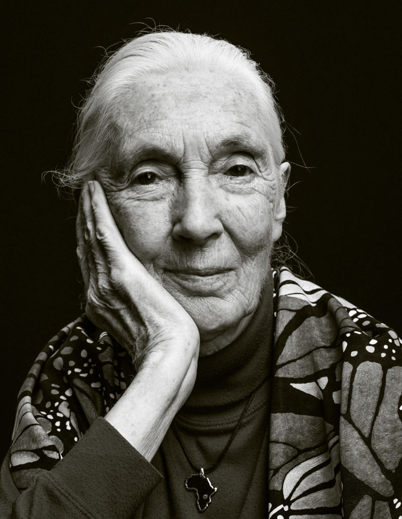 Jane Goodall