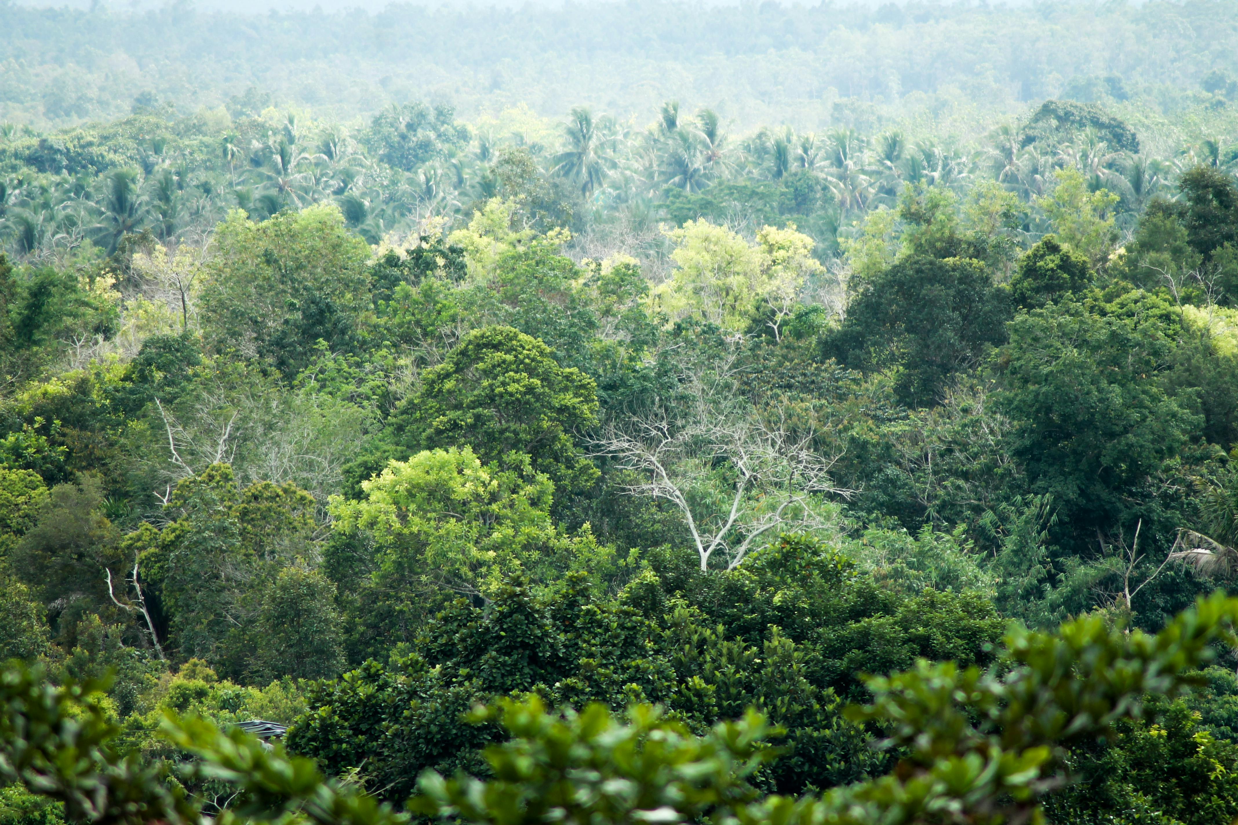 Palangkaraya Indonesia