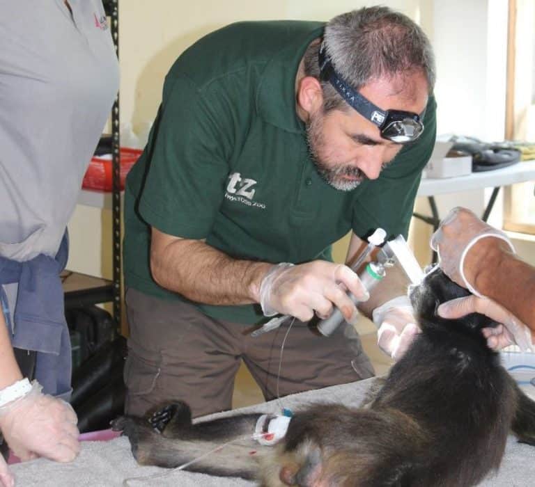 Mat2thumbnail 768X700