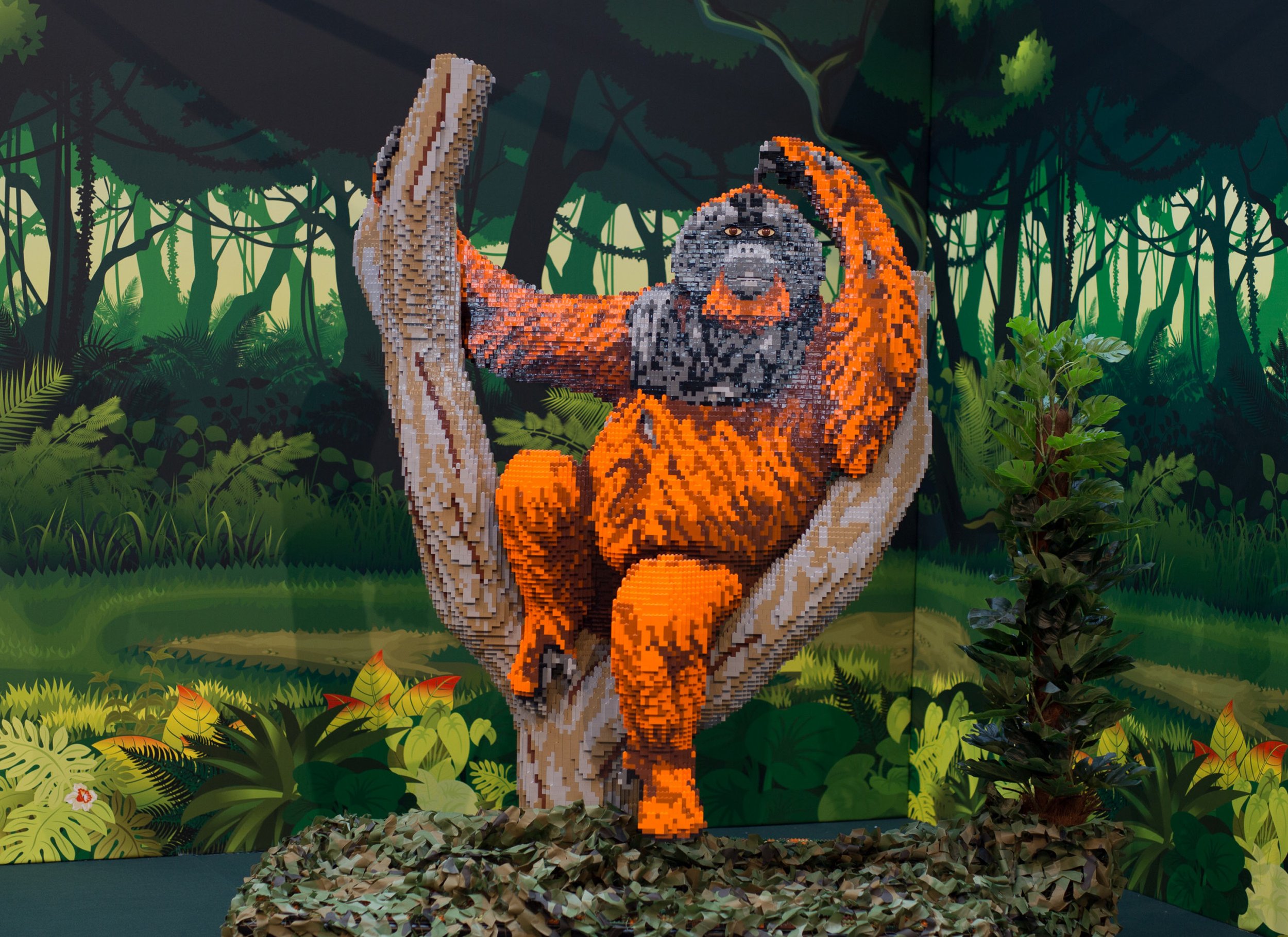 Into+The+Wild+Orangutan+(1)