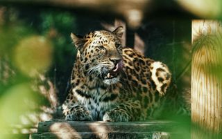 Davidoff Feb 23 2 Scaled E1676288615866