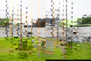 Chimp Eden Outside6 768X511