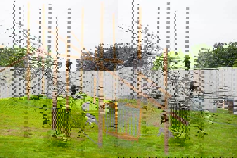 Chimp Eden Outside6 768X511