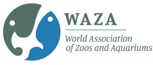 Org Waza