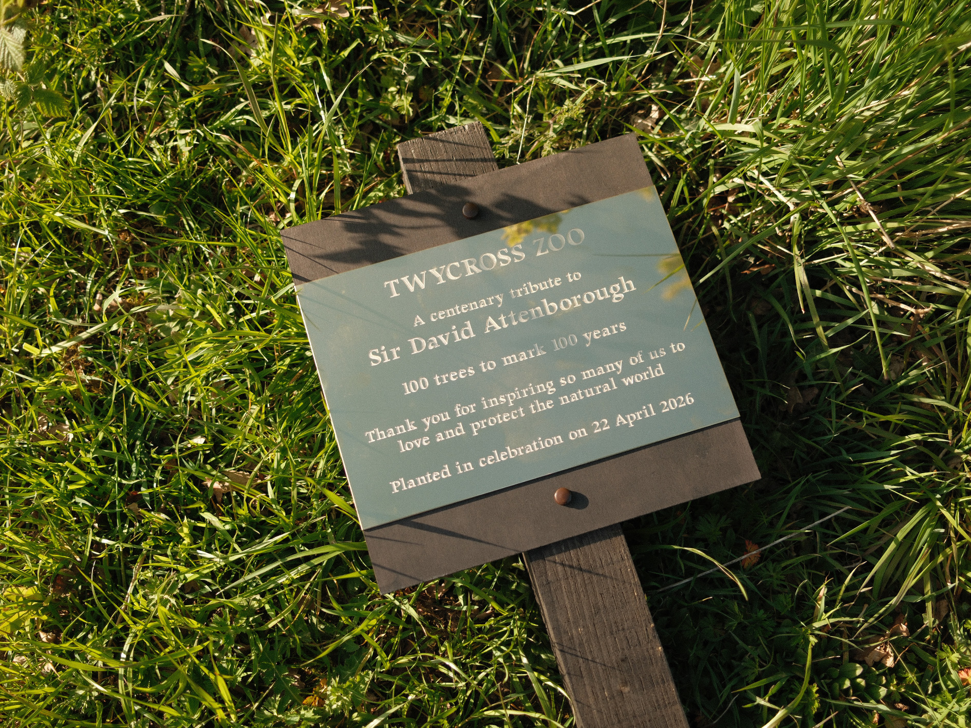 Plaque 2
