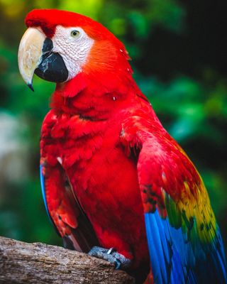 Christopher Alvarenga 3Osgqrrtqbe Unsplash
