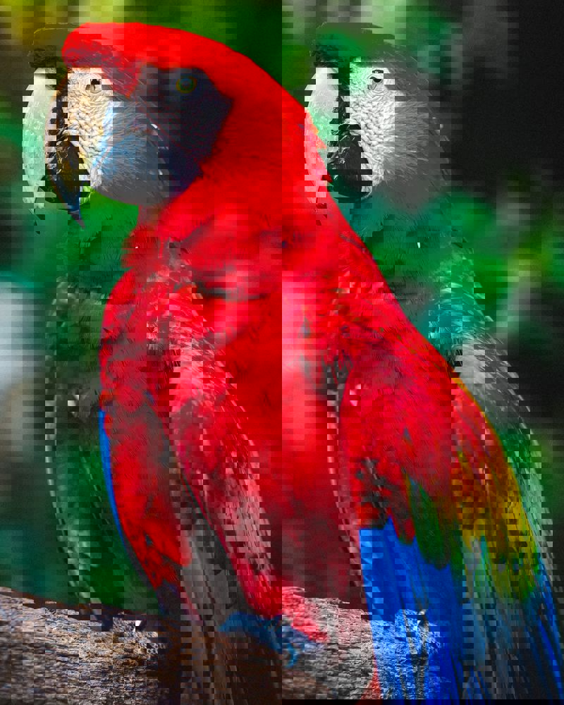 Christopher Alvarenga 3Osgqrrtqbe Unsplash