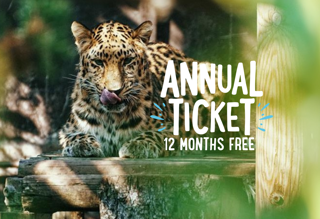 Twycross Winter Sales Banner (1950 X 1334 Px) (11)