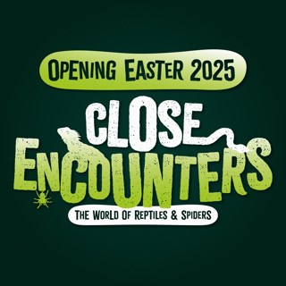 Close Encounters X Launch (Square)