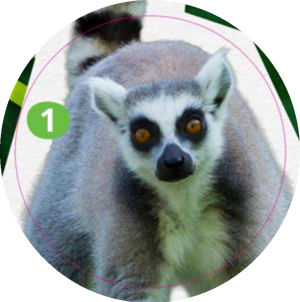 Sticker 01