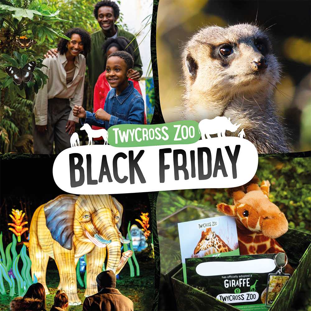 Black Friday (All) (Collage) (Web Banner Mobile 1000X1000)