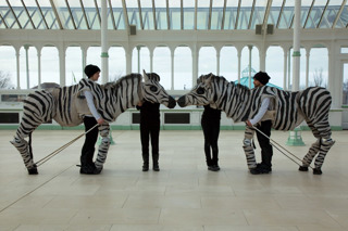 C6fed51be03941efa28d4cb4 Rw 1920