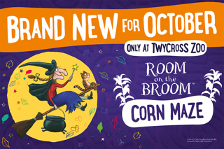 2ROTB ONLY AT TZ (Email + Web 1200X800)