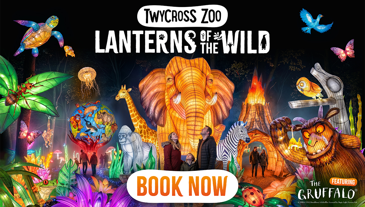 TZ X LOTW 2026 Visual (1200X680) (Book Now) (1)