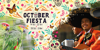 OF23 Web Background (4)