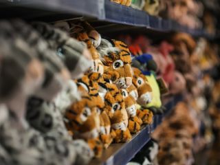 Eco Friendly Plush In The Gift Shop At Twycross Zoo