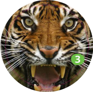 Sticker 03
