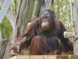 D32422F7 CBB4 40E2 B732 9A63FFB36748 1 105 C