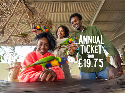 Twycross Winter Sales Banner (1950 X 1334 Px) (3)