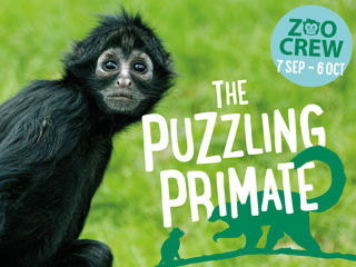 TZ September Zoo Crew (1200X900 Email Banner) (1)