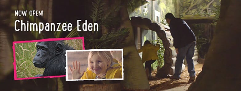 Chimpanzeeeden Landing