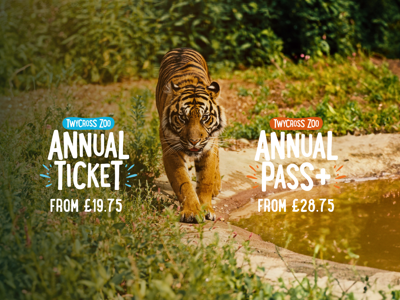 Twycross Winter Sales Banner (1950 X 1334 Px) (4)