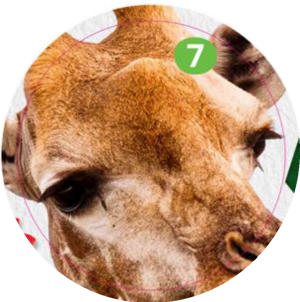 Sticker 07