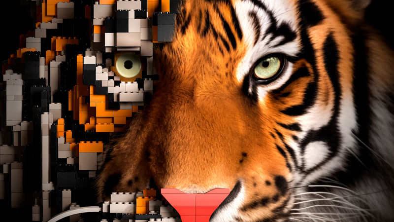 Twycross Zoo - Animal Bricktacular - Tiger Key Visual - June 2024