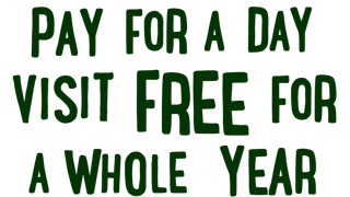 Year Of Wild Adventures Mob