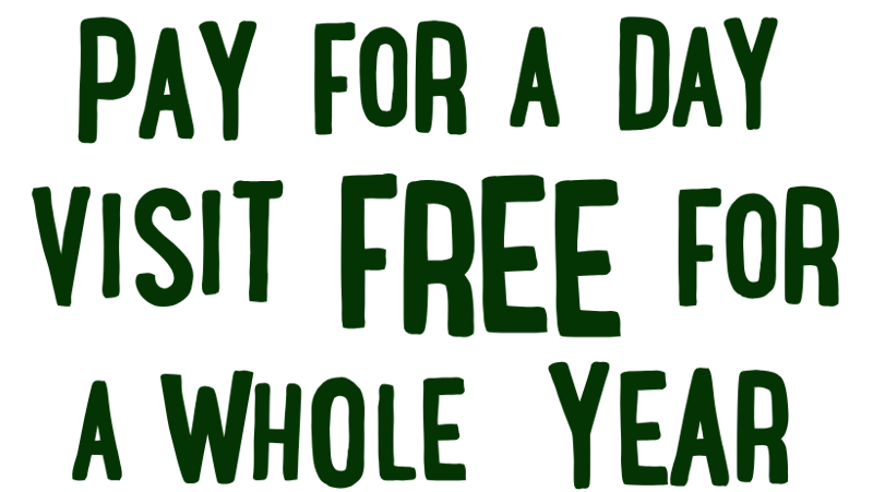 Year Of Wild Adventures Mob