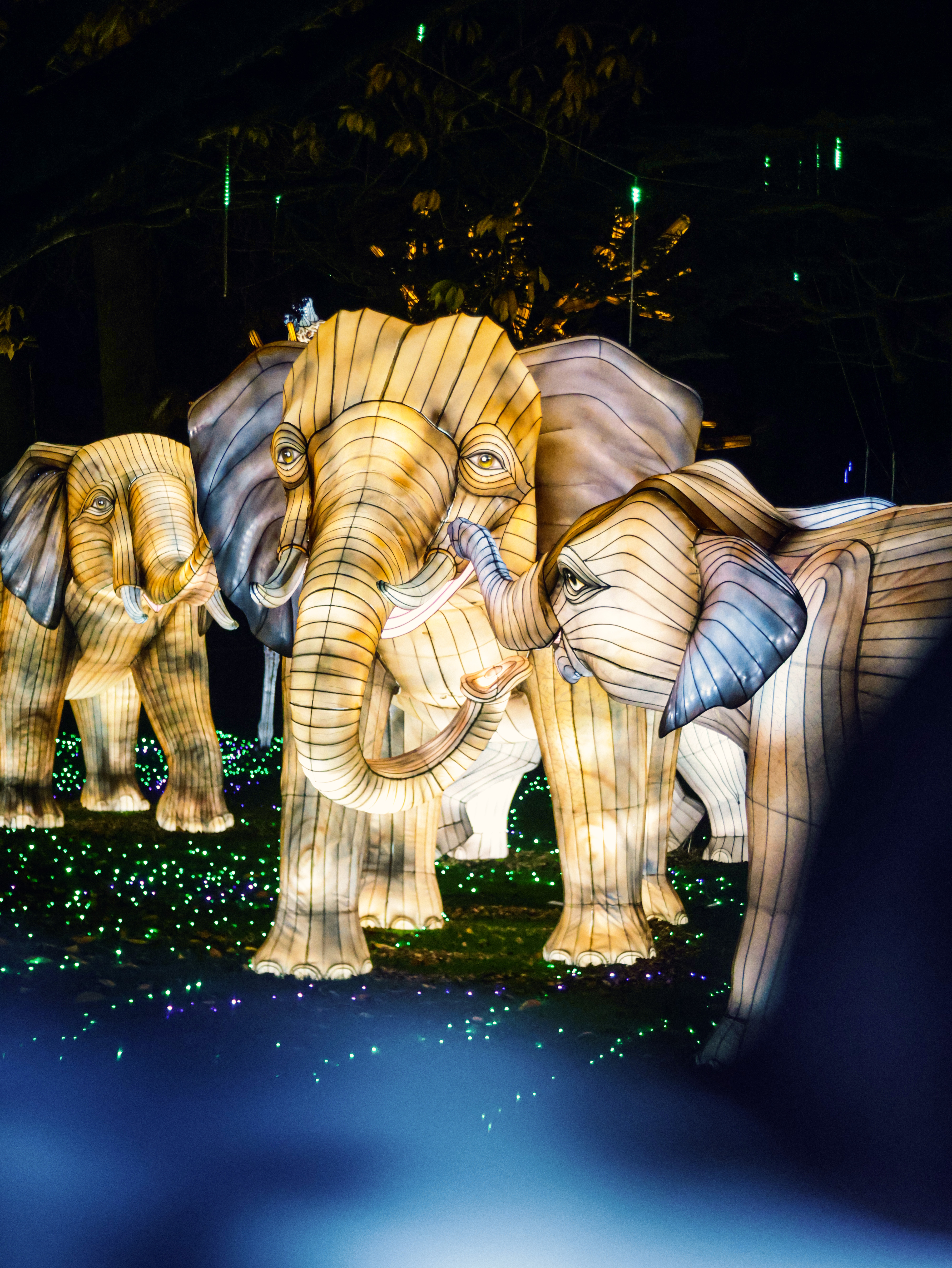 Twycross Zoo LOTW2025 African Savannah 3