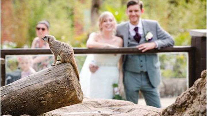 Venue Hire Weddings Corporate Events Twycross Zoo twycross-zoo-atherstone-venue-hire-big-venue-book