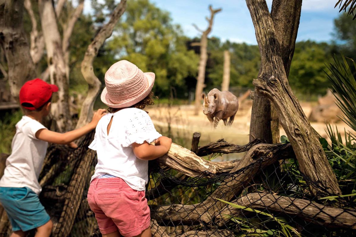 Kids And Rhino Image V2 Min