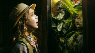 Zoo Crew Lead Image - Fin looking into vivarium in awe